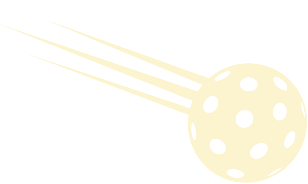 large illustration of a pickleball flying through the air.